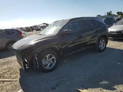5NMJB3AE3PH213867 2023 HYUNDAI TUCSON