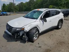 5NMJB3AE4PH195962 2023 HYUNDAI TUCSON
