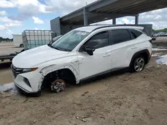5NMJB3AE4PH211075 2023 HYUNDAI TUCSON