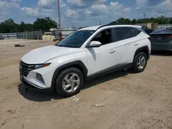 5NMJB3AE5PH237023 2023 HYUNDAI TUCSON