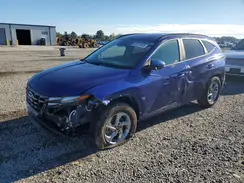 5NMJB3AE6PH198894 2023 HYUNDAI TUCSON