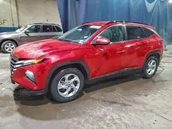 5NMJB3AE6PH227049 2023 HYUNDAI TUCSON