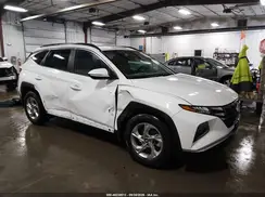 5NMJB3AE7PH196927 2023 HYUNDAI TUCSON