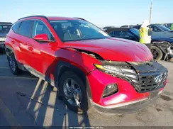 5NMJB3AE7PH232552 2023 HYUNDAI TUCSON