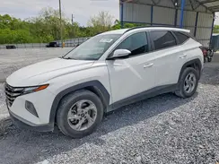 5NMJB3AE7PH237525 2023 HYUNDAI TUCSON