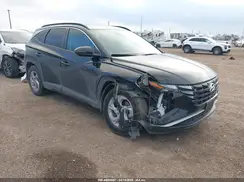5NMJB3AE7PH250596 2023 HYUNDAI TUCSON