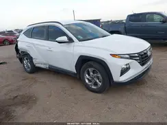5NMJB3AE7PH250811 2023 HYUNDAI TUCSON