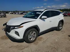5NMJB3AE7PH275370 2023 HYUNDAI TUCSON