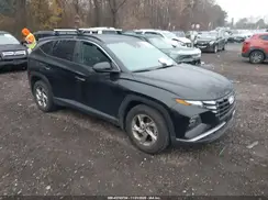 5NMJB3AE8PH193566 2023 HYUNDAI TUCSON