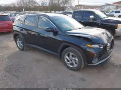 5NMJB3AE8PH269433 2023 HYUNDAI TUCSON