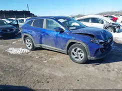 5NMJB3AE9PH202940 2023 HYUNDAI TUCSON