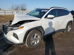 5NMJB3AEXNH003828 2022 HYUNDAI TUCSON