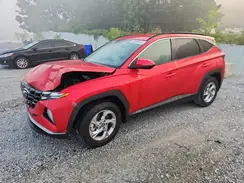5NMJB3AEXPH248938 2023 HYUNDAI TUCSON