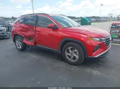 5NMJB3AEXPH255209 2023 HYUNDAI TUCSON