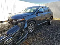 5NMJB3DE0RH305212 2024 HYUNDAI TUCSON