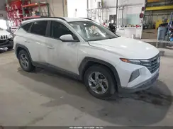 5NMJB3DE0RH306196 2024 HYUNDAI TUCSON