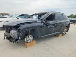 5NMJB3DE0RH313732 2024 HYUNDAI TUCSON