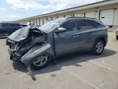 5NMJB3DE0RH315772 2024 HYUNDAI TUCSON