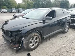 5NMJB3DE0RH321992 2024 HYUNDAI TUCSON