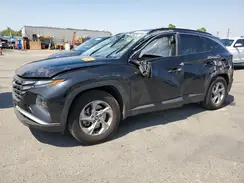 5NMJB3DE0RH325413 2024 HYUNDAI TUCSON