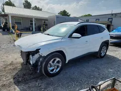 5NMJB3DE0RH339201 2024 HYUNDAI TUCSON