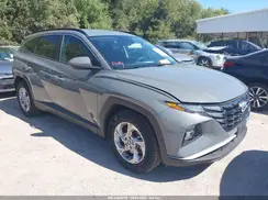 5NMJB3DE0RH339876 2024 HYUNDAI TUCSON