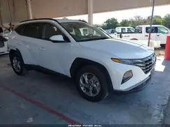 5NMJB3DE0RH344219 2024 HYUNDAI TUCSON
