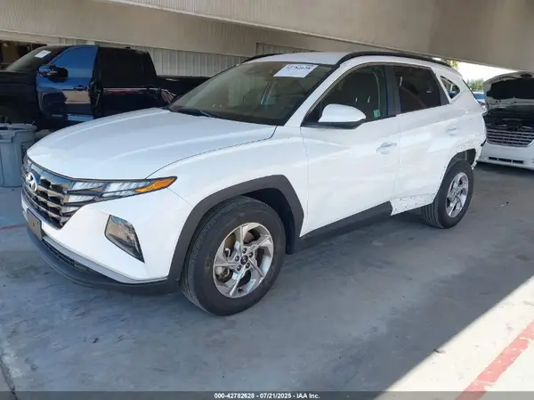5NMJB3DE0RH344219 2024 HYUNDAI TUCSON - Image 2