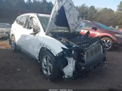 5NMJB3DE0RH351252 2024 HYUNDAI TUCSON
