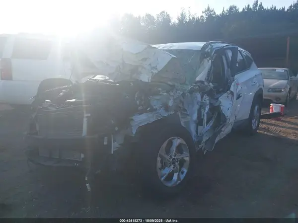 5NMJB3DE0RH351252 2024 HYUNDAI TUCSON - Image 2