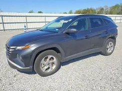 5NMJB3DE0RH363353 2024 HYUNDAI TUCSON