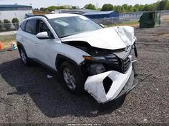 5NMJB3DE0RH371386 2024 HYUNDAI TUCSON
