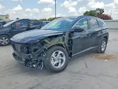 5NMJB3DE0RH373526 2024 HYUNDAI TUCSON