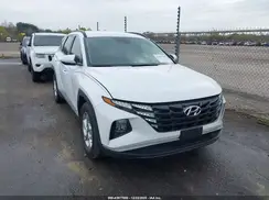 5NMJB3DE0RH381609 2024 HYUNDAI TUCSON