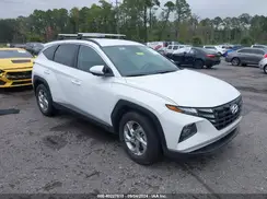 5NMJB3DE0RH392447 2024 HYUNDAI TUCSON