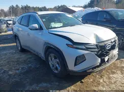5NMJB3DE0RH398622 2024 HYUNDAI TUCSON