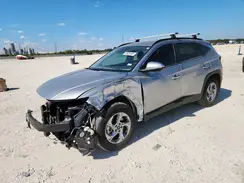 5NMJB3DE0RH404743 2024 HYUNDAI TUCSON