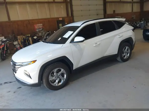 5NMJB3DE0RH406895 2024 HYUNDAI TUCSON - Image 2