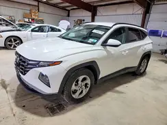 5NMJB3DE0RH409182 2024 HYUNDAI TUCSON