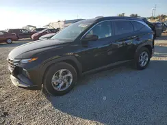 5NMJB3DE0RH415998 2024 HYUNDAI TUCSON