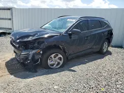 5NMJB3DE0RH416374 2024 HYUNDAI TUCSON