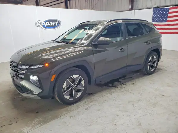 5NMJB3DE0SH491176 2025 HYUNDAI TUCSON - Image 1