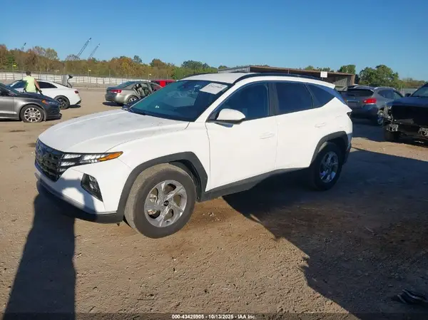 5NMJB3DE1RH301735 2024 HYUNDAI TUCSON - Image 2