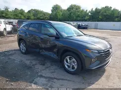 5NMJB3DE1RH310872 2024 HYUNDAI TUCSON