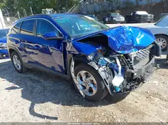 5NMJB3DE1RH331009 2024 HYUNDAI TUCSON