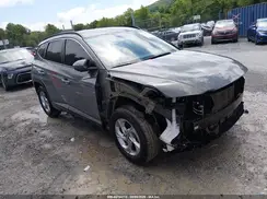 5NMJB3DE1RH346299 2024 HYUNDAI TUCSON