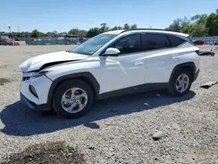 5NMJB3DE1RH358937 2024 HYUNDAI TUCSON