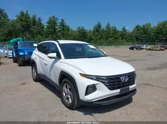 5NMJB3DE1RH360882 2024 HYUNDAI TUCSON