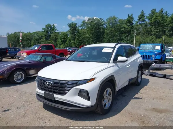 5NMJB3DE1RH360882 2024 HYUNDAI TUCSON - Image 2