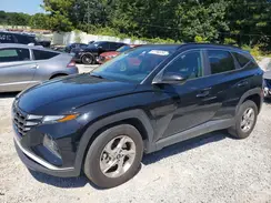5NMJB3DE1RH366973 2024 HYUNDAI TUCSON